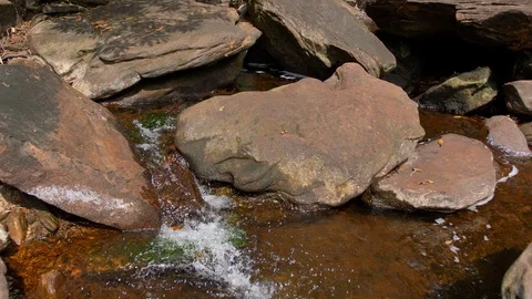 River in the Jungle on Phu Quoc Island, Vietnam Video stock 123736624