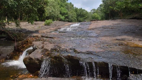 River in the Jungle on Phu Quoc Island, Vietnam Video stock 123736736