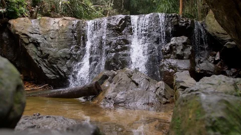 River in the Jungle on Phu Quoc Island, Vietnam Stock-Footage 123737045