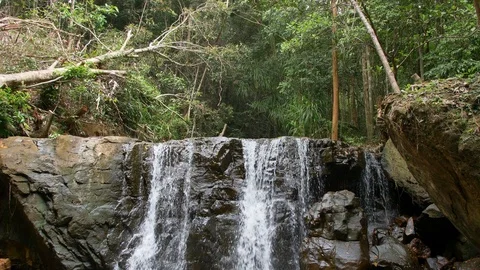 River in the Jungle on Phu Quoc Island, Vietnam Stock-Footage 123737097