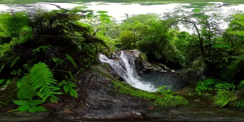 River in the jungle. Virtual Reality 360. 8k video. Vidéo 204886306
