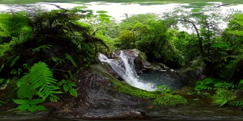 River in the jungle. Virtual Reality 360. Stockbeeldmateriaal 238370702