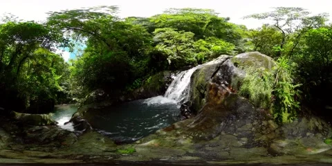 River in the jungle. VR 360. 8k video. Stock-Footage 220776449
