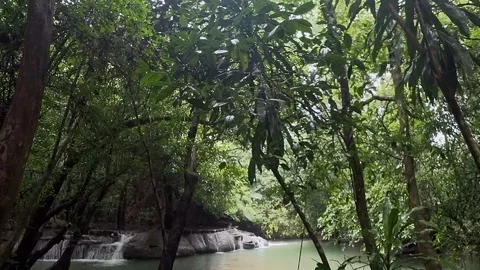 River in jungle with waterfall Stock Footage 121146650
