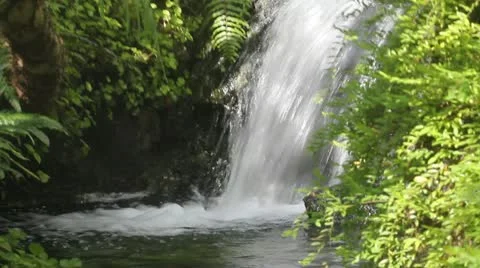 River in jungles . watrefall.video. Video stock 20619086