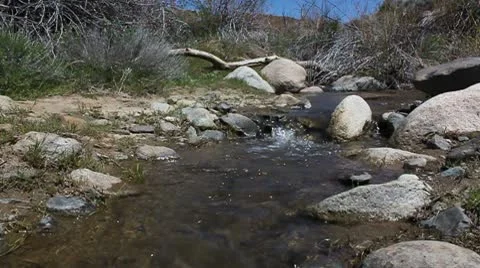 River just cruising Stock Footage 10703501