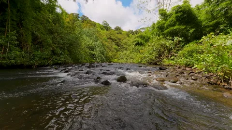 A river in Kauai, Hawaii Stock Footage 345294696