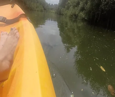 River Kayak Stock Footage 97422040