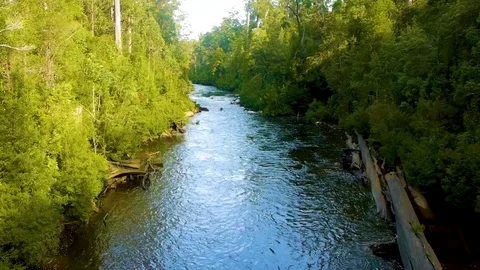 River kayaking landscape tasmania Stock Footage 79776249