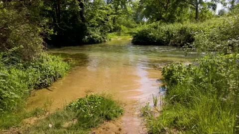 River kefalari2 Stock Footage 132701149