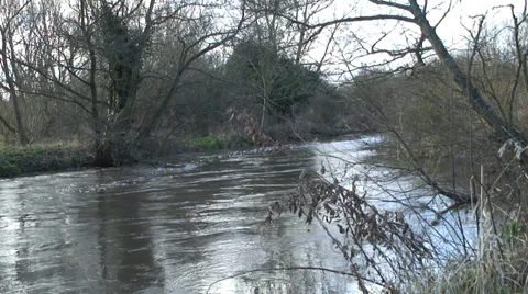 River Kennet 04 Video stock 33876550