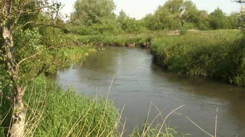 River Kennet below Burfeild Bridge 01 Video stock 28021806