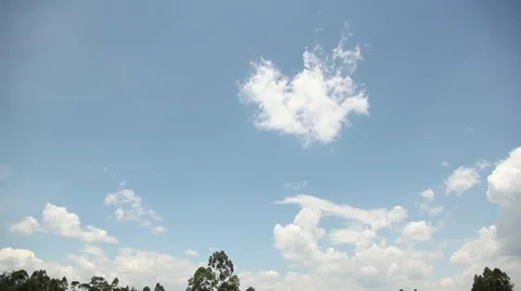 River in Kenya tilt Video stock 46550072