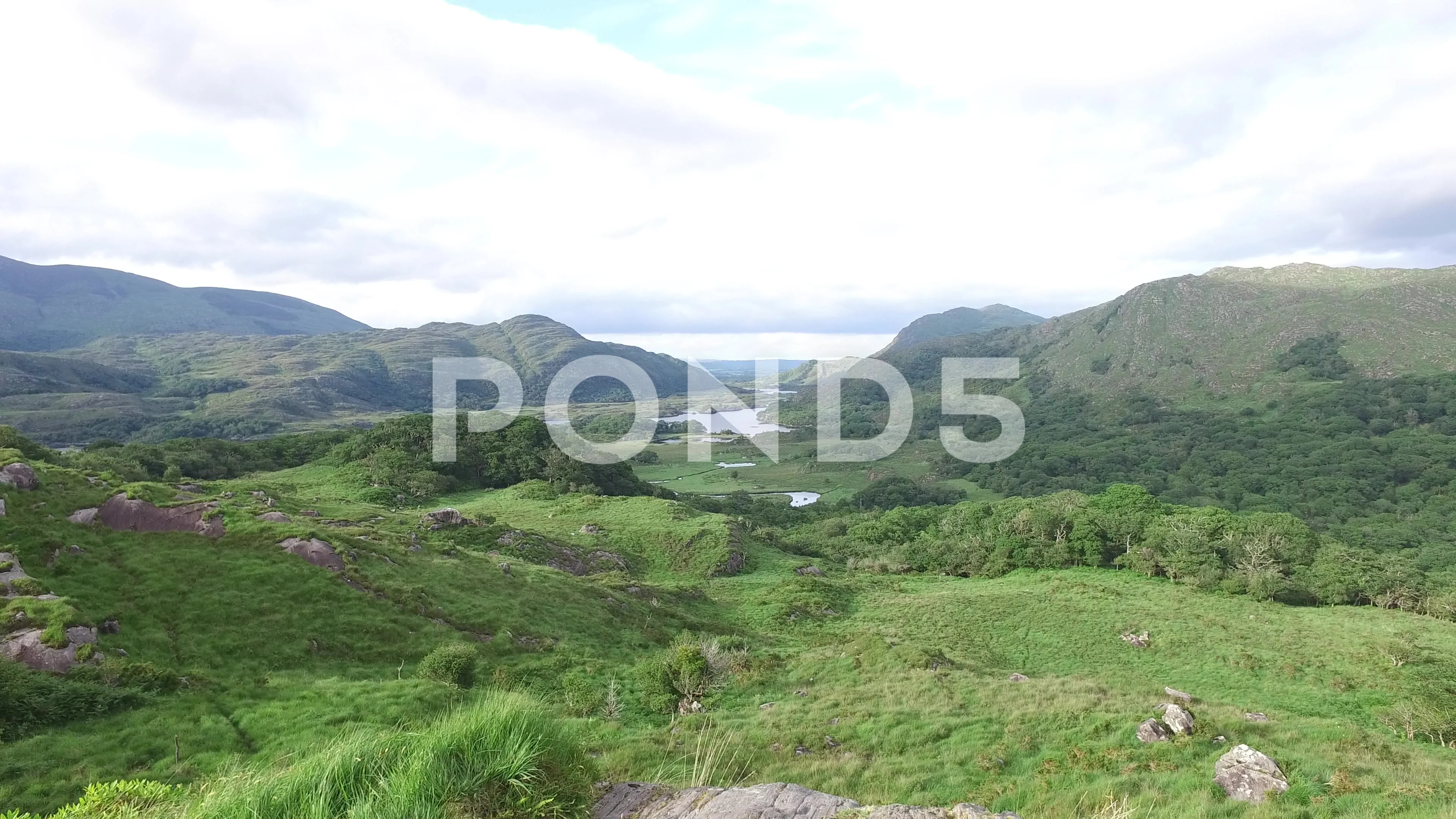 Video River At Killarney National Park Valley In Ireland 79