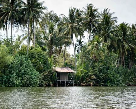 River Kong cutting through the dense jungle.  Stock Photos