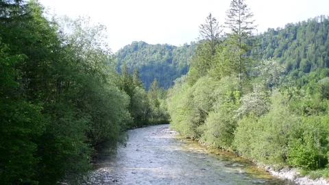 River Krumme Steyrling in Valley Bodinggraben Video stock 126810060