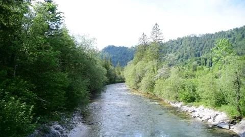 River Krumme Steyrling in Valley Bodinggraben Stock Footage 126810082