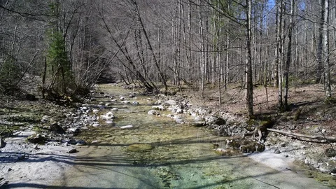 River Krumme Steyrling in Valley Bodinggraben Stock Footage 127628967