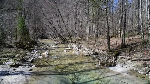 River Krumme Steyrling in Valley Bodinggraben Stock Footage 127630175