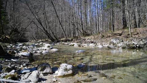 River Krumme Steyrling in Valley Bodinggraben Stock Footage 127630300