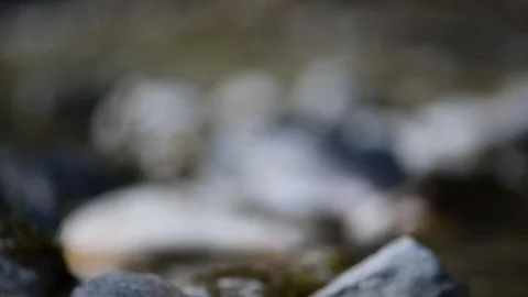 River Krumme Steyrling in Valley Bodinggraben 库存影片 127630478
