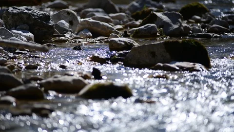 River Krumme Steyrling in Valley Bodinggraben Stock Footage 127630602