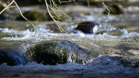 River Krumme Steyrling in Valley Bodinggraben Stock Footage 127630661