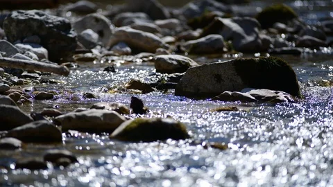River Krumme Steyrling in Valley Bodinggraben Stock Footage 127630787