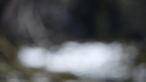 River Krumme Steyrling in Valley Bodinggraben Stock Footage 127630885