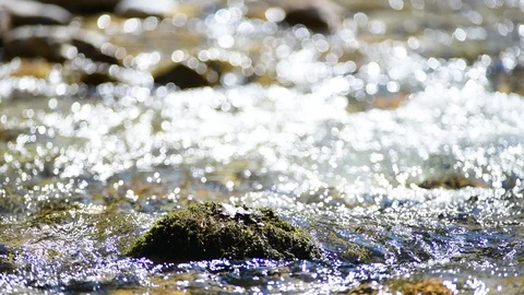 River Krumme Steyrling in Valley Bodinggraben 库存影片 127631037