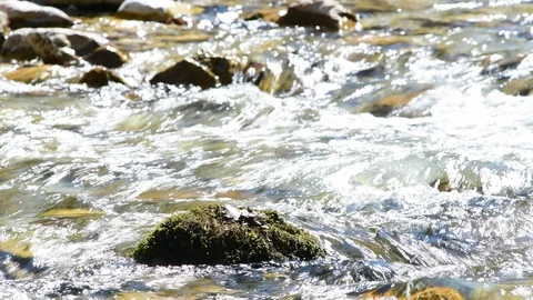 River Krumme Steyrling in Valley Bodinggraben Stock Footage 127631356