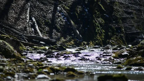 River Krumme Steyrling in Valley Bodinggraben Stock Footage 127631511