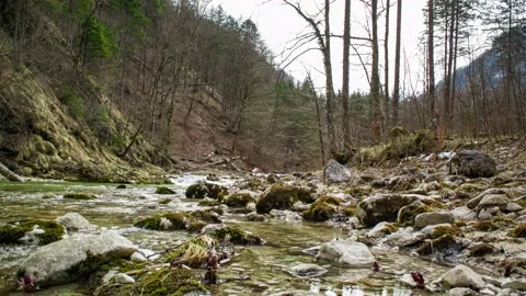 River krumme steyrling in the valley bodinggraben Stock Footage 151304840
