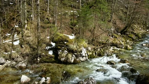 River krumme steyrling in the valley bodinggraben Stock Footage 151304881