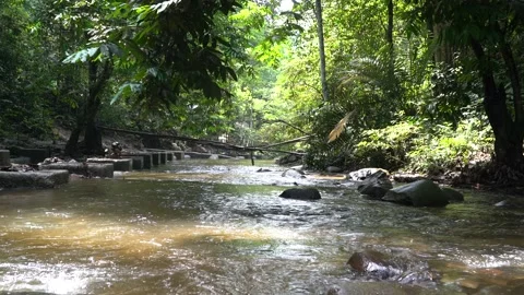 River in Kuala Lumpur Stock Footage 152243097