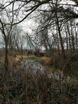 River LAFNITZ Stock Photos