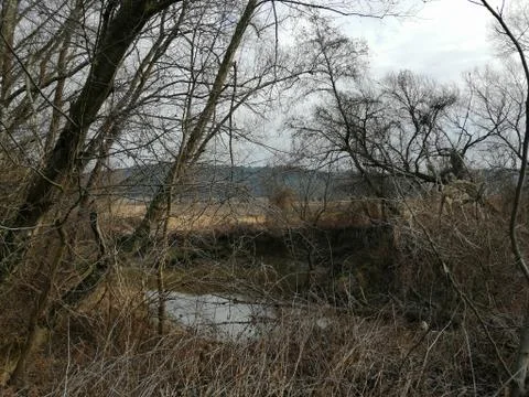 River LAFNITZ Stock Photos