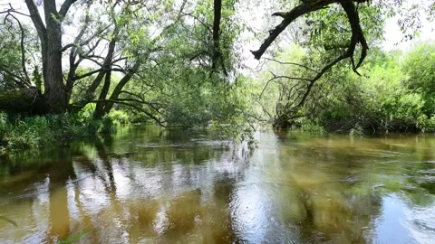River lainsitz in the lower austrian region waldviertel Stock Footage 158595291