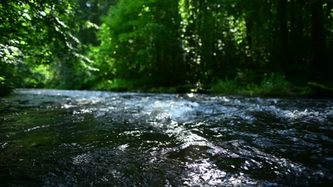 River lainsitz in the lower austrian region waldviertel Stock Footage 158595431