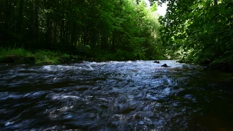 River lainsitz in the lower austrian region waldviertel Stock Footage 158595447