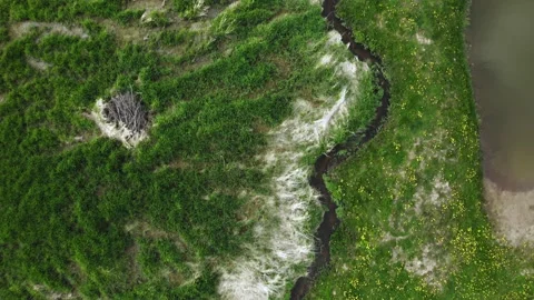 River by the lake Stockbeeldmateriaal 154301640