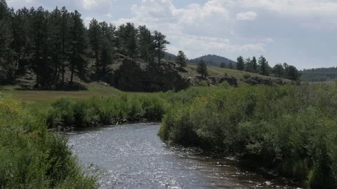 River in Lake George CO with Plants in Breeze Close Up Stock Footage 85215732