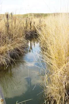 River lake Foto stock