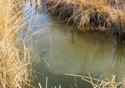 River lake Stock Photos