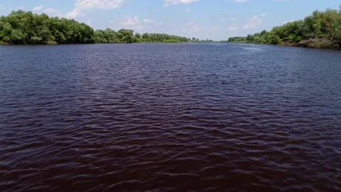 River lake shrub meadows Stock Footage 139933509