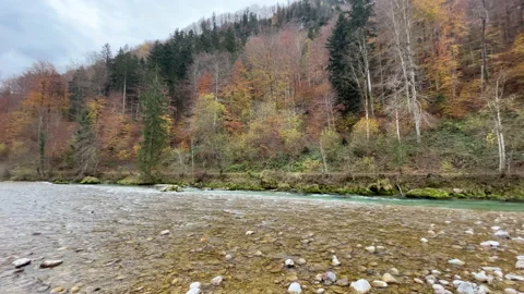 River Lammer Austria Stock Footage 221096454