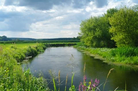 River, land with trees and cloudy sky Stock Photos