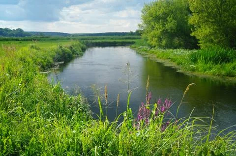 River, land with trees and cloudy sky Stock Photos