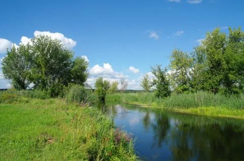 River, land with trees and cloudy sky Stock Photos