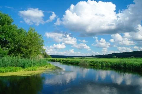 River, land with trees and cloudy sky Stock Photos